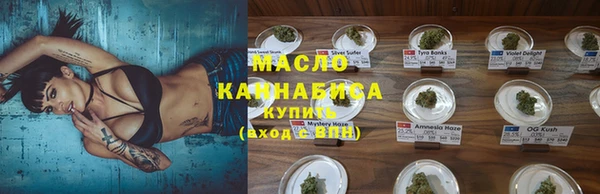 гашик Касимов