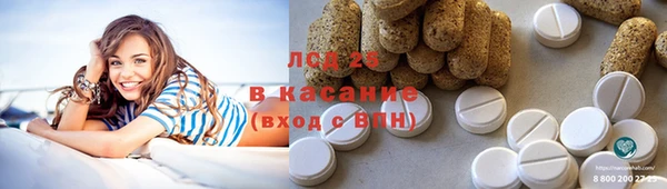 гашик Касимов