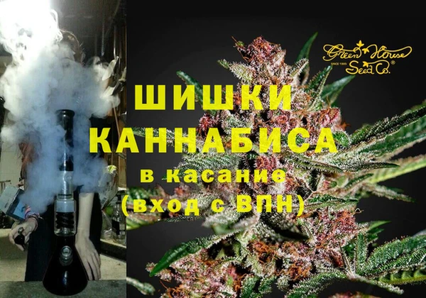 гашик Касимов