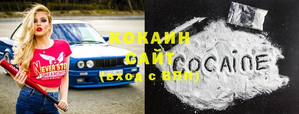 гашик Касимов