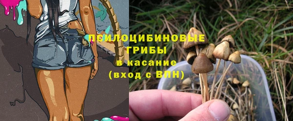 мдпв Карталы