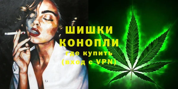 PSILOCYBIN Карпинск