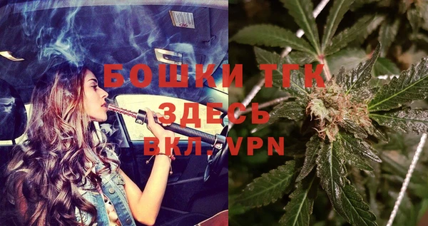 PSILOCYBIN Карпинск