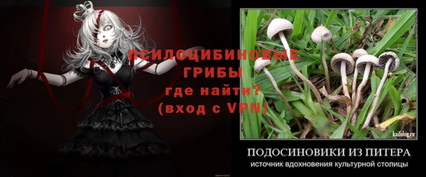 гашик Касимов