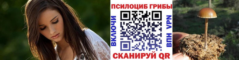 Галлюциногенные грибы Cubensis  Купить закладки  Кадников 