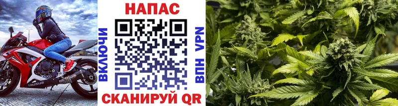 Купить где  Кадников  МАРИХУАНА тримм 